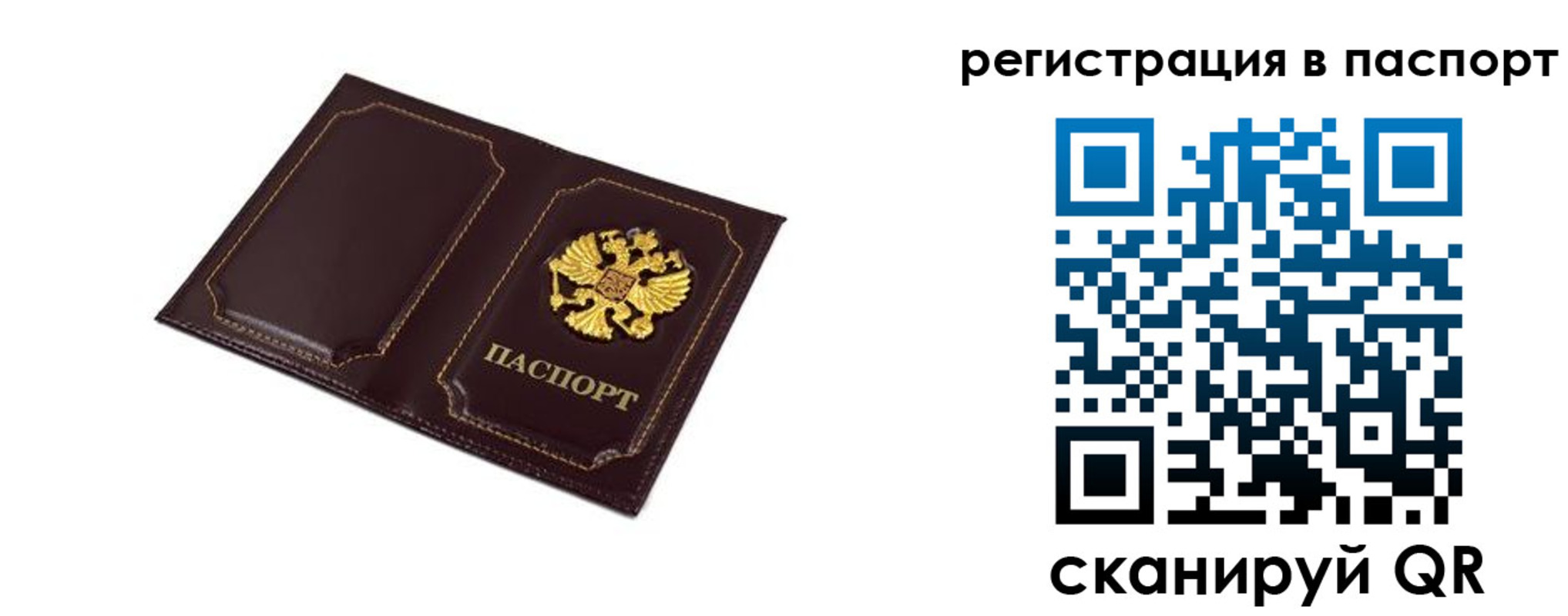 миграционный учет в Кингисеппе